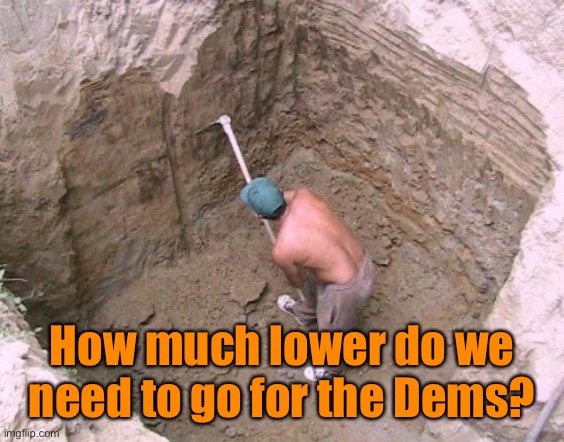Dig a Hole | How much lower do we need to go for the Dems? | image tagged in dig a hole | made w/ Imgflip meme maker