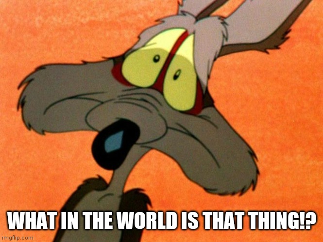 Wile E Coyote oh no | WHAT IN THE WORLD IS THAT THING!? | image tagged in wile e coyote oh no | made w/ Imgflip meme maker