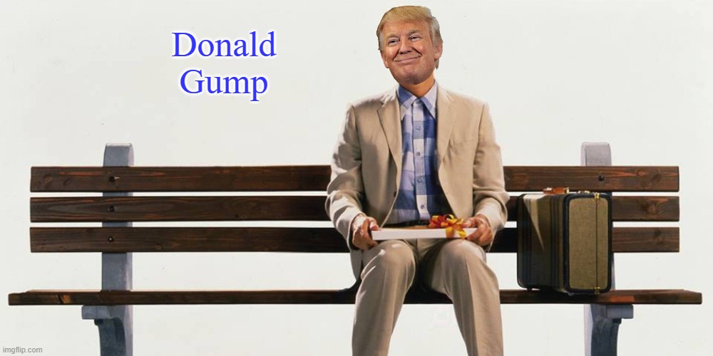 Donald Gump | Donald Gump | image tagged in memes,donald trump,forrest gump | made w/ Imgflip meme maker