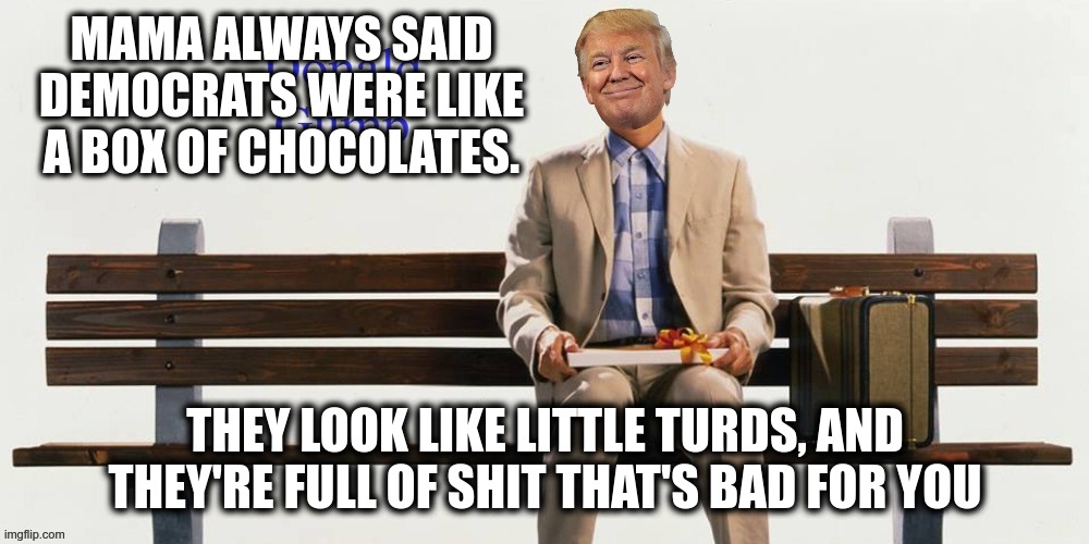 mama always said | MAMA ALWAYS SAID DEMOCRATS WERE LIKE A BOX OF CHOCOLATES. THEY LOOK LIKE LITTLE TURDS, AND THEY'RE FULL OF SHIT THAT'S BAD FOR YOU | image tagged in trump,forest gump,maga | made w/ Imgflip meme maker