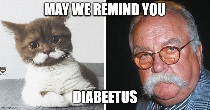 Wilford Brimley Cat | MAY WE REMIND YOU; DIABEETUS | image tagged in wilford brimley,cat,diabeetus,diabetes,funny,meme | made w/ Imgflip meme maker