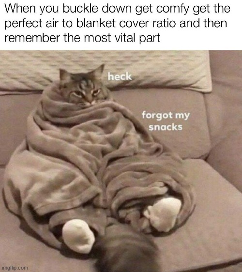 Snak time | image tagged in humor,cats,snak time | made w/ Imgflip meme maker