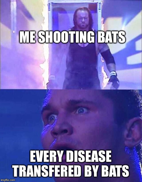 Randy Orton, Undertaker | ME SHOOTING BATS; EVERY DISEASE TRANSFERED BY BATS | image tagged in randy orton undertaker | made w/ Imgflip meme maker
