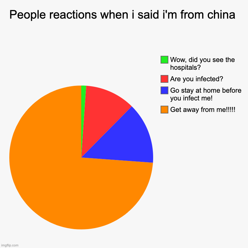 People reactions when i said i'm from china | Get away from me!!!!!, Go stay at home before you infect me!, Are you infected?, Wow, did you  | image tagged in charts,pie charts | made w/ Imgflip chart maker