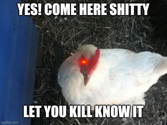 Get you catch! Of chicken boss |  YES! COME HERE SHITTY; LET YOU KILL KNOW IT | image tagged in memes,angry chicken boss | made w/ Imgflip meme maker
