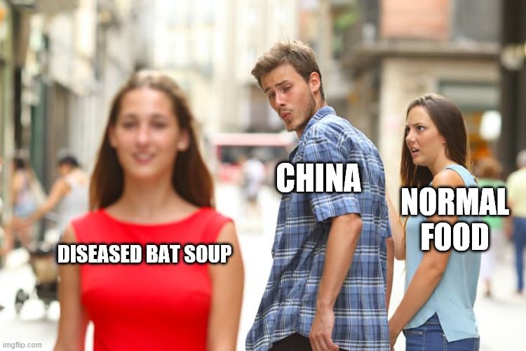 Distracted Boyfriend Meme | CHINA; NORMAL FOOD; DISEASED BAT SOUP | image tagged in memes,distracted boyfriend | made w/ Imgflip meme maker
