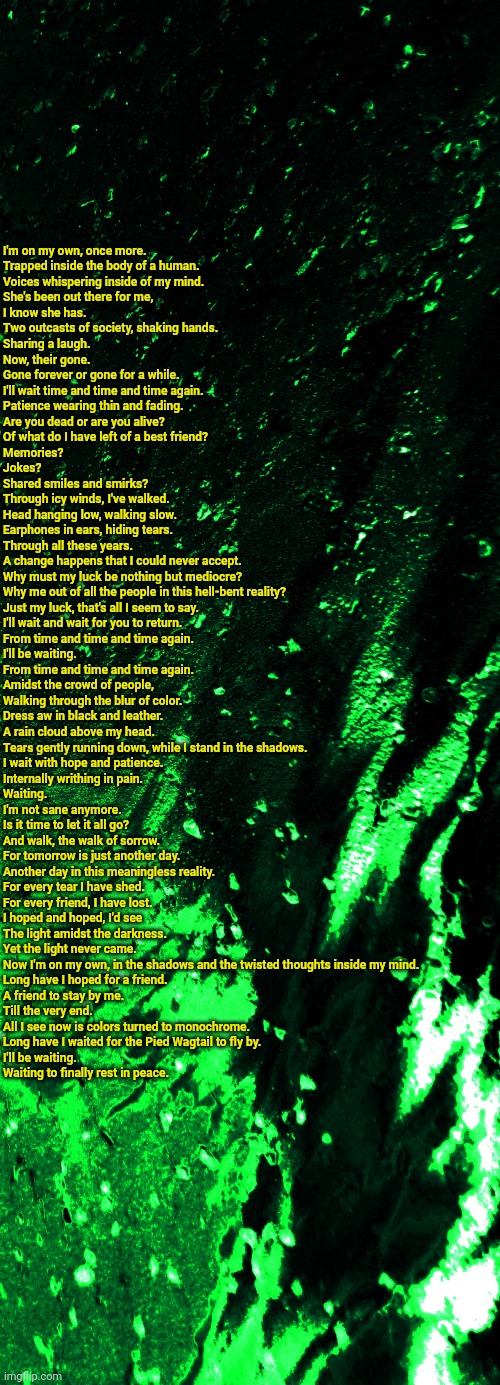 For A Friend. ((Yes. I did write this.)) | I'm on my own, once more. 
Trapped inside the body of a human. 
Voices whispering inside of my mind. 
She's been out there for me, 
I know she has. 
Two outcasts of society, shaking hands. 
Sharing a laugh. 
Now, their gone. 
Gone forever or gone for a while. 
I'll wait time and time and time again. 
Patience wearing thin and fading. 
Are you dead or are you alive? 
Of what do I have left of a best friend? 
Memories? 
Jokes? 
Shared smiles and smirks? 
Through icy winds, I've walked. 
Head hanging low, walking slow. 
Earphones in ears, hiding tears. 
Through all these years. 
A change happens that I could never accept. 

Why must my luck be nothing but mediocre? 
Why me out of all the people in this hell-bent reality? 
Just my luck, that's all I seem to say. 
I'll wait and wait for you to return. 
From time and time and time again. 
I'll be waiting. 
From time and time and time again. 

Amidst the crowd of people,
Walking through the blur of color. 
Dress aw in black and leather. 
A rain cloud above my head. 
Tears gently running down, while I stand in the shadows. 
I wait with hope and patience. 
Internally writhing in pain. 
Waiting. 
I'm not sane anymore. 
Is it time to let it all go? 
And walk, the walk of sorrow. 
For tomorrow is just another day. 
Another day in this meaningless reality. 

For every tear I have shed.
For every friend, I have lost. 
I hoped and hoped, I'd see
The light amidst the darkness. 
Yet the light never came. 
Now I'm on my own, in the shadows and the twisted thoughts inside my mind. 

Long have I hoped for a friend. 
A friend to stay by me. 
Till the very end. 
All I see now is colors turned to monochrome. 
Long have I waited for the Pied Wagtail to fly by. 
I'll be waiting. 
Waiting to finally rest in peace. | image tagged in poetry | made w/ Imgflip meme maker