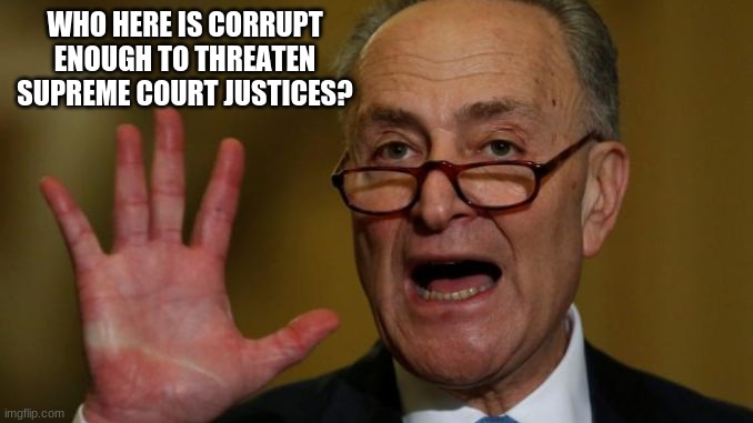 Shut up Chuck | WHO HERE IS CORRUPT ENOUGH TO THREATEN SUPREME COURT JUSTICES? | image tagged in chuck schumer,shut up chuck,government corruption,supreme court,what is he hiding,traitor | made w/ Imgflip meme maker