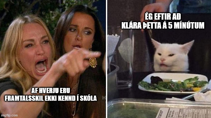 Angry lady cat | ÉG EFTIR AÐ KLÁRA ÞETTA Á 5 MÍNÚTUM; AF HVERJU ERU FRAMTALSSKIL EKKI KENND Í SKÓLA | image tagged in angry lady cat,Iceland | made w/ Imgflip meme maker