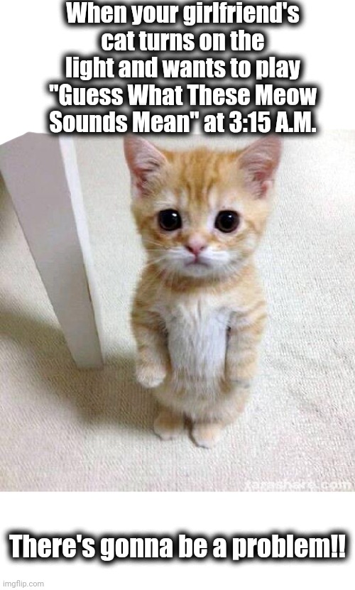 Sure. I like cats, but. . . . | When your girlfriend's cat turns on the light and wants to play "Guess What These Meow Sounds Mean" at 3:15 A.M. There's gonna be a problem!! | image tagged in memes,cute cat | made w/ Imgflip meme maker