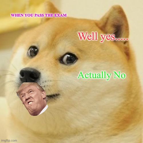Doge Meme | WHEN YOU PASS THE EXAM; Well yes..... Actually No | image tagged in memes,doge | made w/ Imgflip meme maker