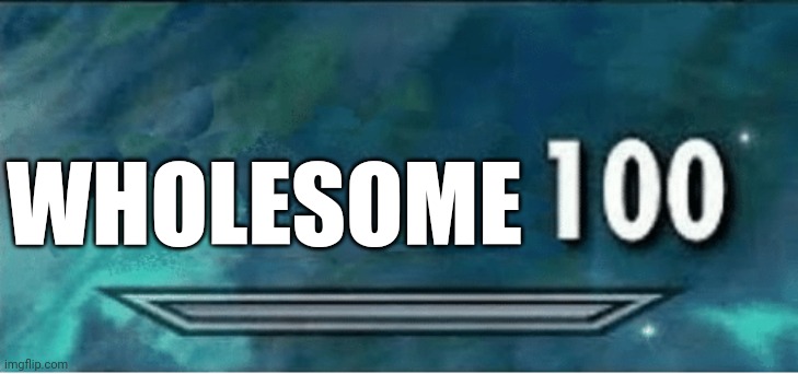 Skyrim 100 Blank | WHOLESOME | image tagged in skyrim 100 blank | made w/ Imgflip meme maker