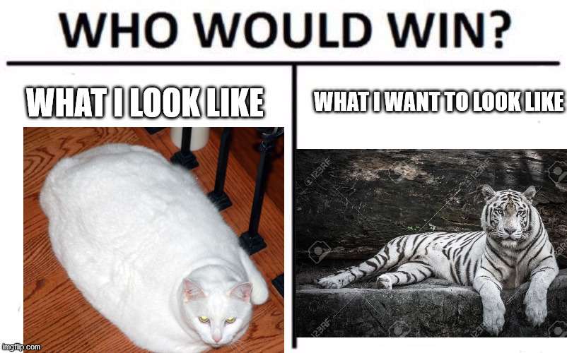Who Would Win? Meme | WHAT I WANT TO LOOK LIKE; WHAT I LOOK LIKE | image tagged in memes,who would win | made w/ Imgflip meme maker
