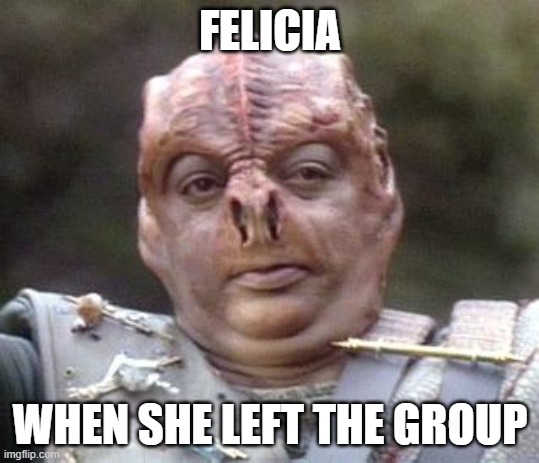 Darmok and Felicia | FELICIA; WHEN SHE LEFT THE GROUP | image tagged in darmok and felicia | made w/ Imgflip meme maker