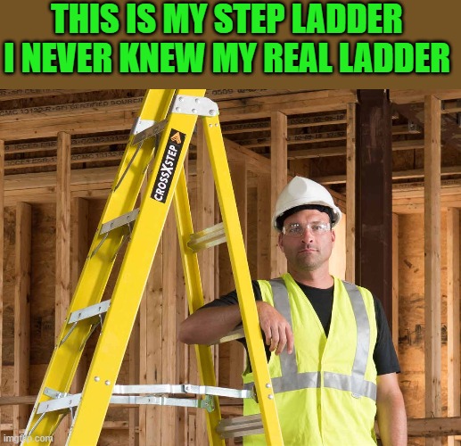 step ladder | THIS IS MY STEP LADDER
I NEVER KNEW MY REAL LADDER | image tagged in ladder,step,step ladder | made w/ Imgflip meme maker