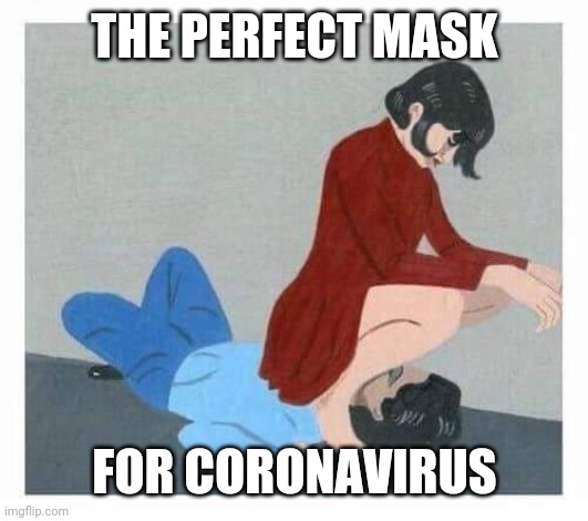 Best Corona Mask | THE PERFECT MASK; FOR CORONAVIRUS | image tagged in coronavirus,mask | made w/ Imgflip meme maker