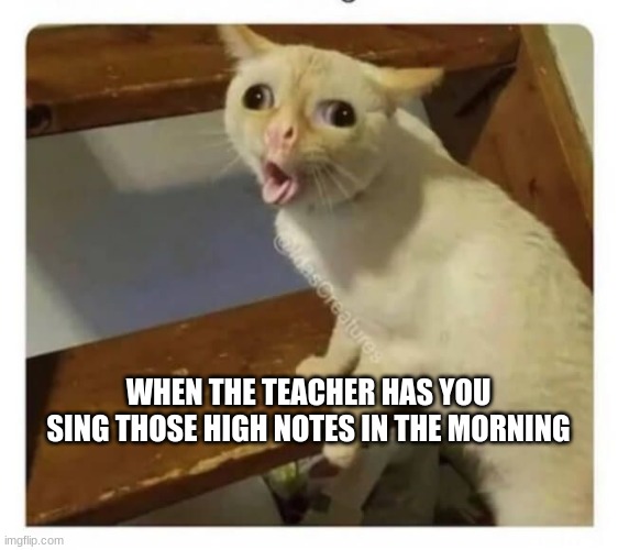 Coughing Cat | WHEN THE TEACHER HAS YOU SING THOSE HIGH NOTES IN THE MORNING | image tagged in coughing cat | made w/ Imgflip meme maker
