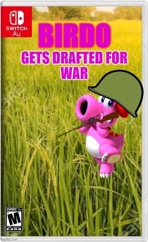 and before you say "but Birdo is a girl she can't get drafted", check the comments section | GETS DRAFTED FOR
WAR; BIRDO | image tagged in switch au template,memes,birdo | made w/ Imgflip meme maker