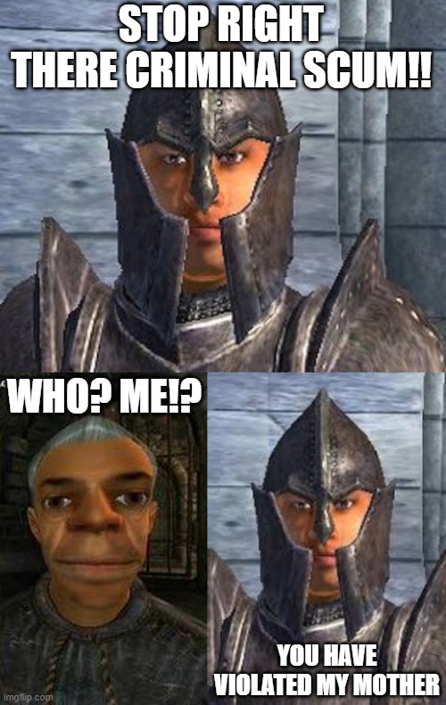 Oblivion Guard | STOP RIGHT THERE CRIMINAL SCUM!! WHO? ME!? YOU HAVE VIOLATED MY MOTHER | image tagged in gamerpoop,elder scrolls,oblivion,town guard,guard | made w/ Imgflip meme maker