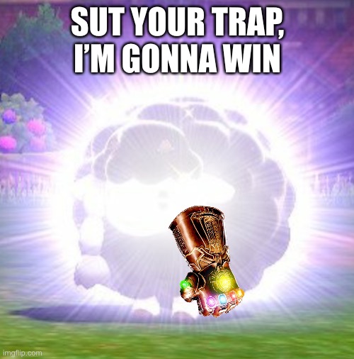 WOOLOO | SUT YOUR TRAP, I’M GONNA WIN | image tagged in wooloo | made w/ Imgflip meme maker