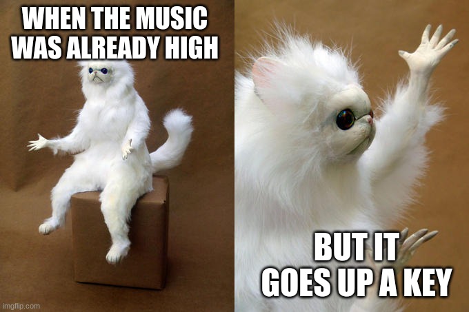 Persian Cat Room Guardian | WHEN THE MUSIC WAS ALREADY HIGH; BUT IT GOES UP A KEY | image tagged in memes,persian cat room guardian | made w/ Imgflip meme maker