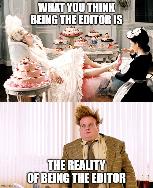 The Life of an editor | WHAT YOU THINK BEING THE EDITOR IS; THE REALITY OF BEING THE EDITOR | image tagged in yearbook | made w/ Imgflip meme maker