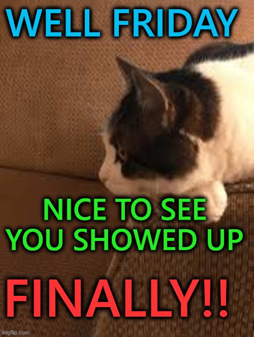You showed up Friday? | WELL FRIDAY; NICE TO SEE YOU SHOWED UP; FINALLY!! | image tagged in friday,fun | made w/ Imgflip meme maker