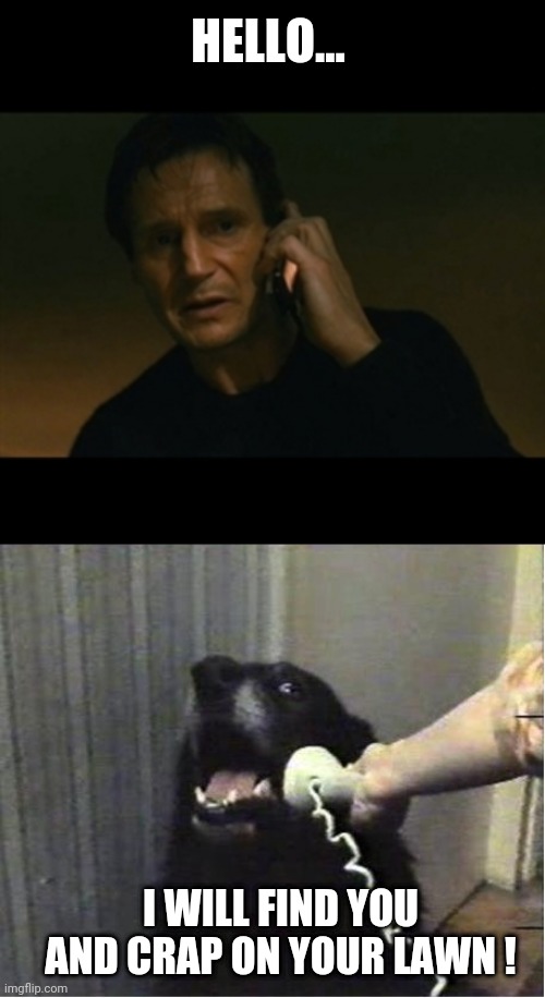 HELLO... I WILL FIND YOU AND CRAP ON YOUR LAWN ! | image tagged in yes this is dog,memes,liam neeson taken | made w/ Imgflip meme maker