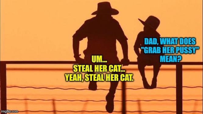 Cowboy father and son | DAD, WHAT DOES 
"GRAB HER PUSSY" 
MEAN? UM...
STEAL HER CAT...
YEAH, STEAL HER CAT. | image tagged in cowboy father and son | made w/ Imgflip meme maker