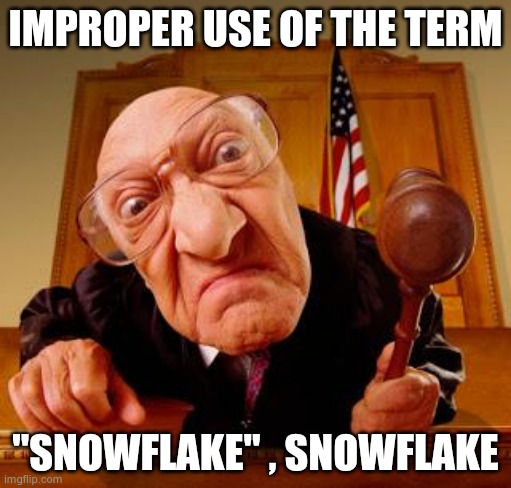 Mean Judge | IMPROPER USE OF THE TERM "SNOWFLAKE" , SNOWFLAKE | image tagged in mean judge | made w/ Imgflip meme maker