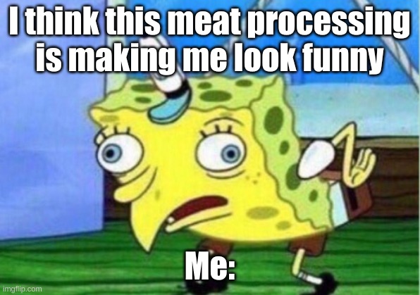 Mocking Spongebob | I think this meat processing is making me look funny; Me: | image tagged in memes,mocking spongebob | made w/ Imgflip meme maker