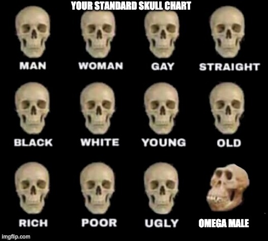 idiot skull | YOUR STANDARD SKULL CHART; OMEGA MALE | image tagged in idiot skull | made w/ Imgflip meme maker