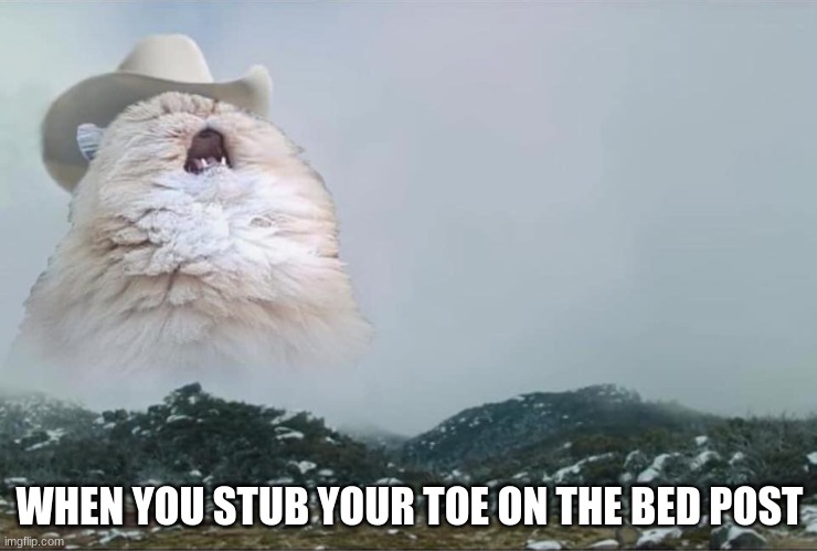 Screaming Cowboy Cat | WHEN YOU STUB YOUR TOE ON THE BED POST | image tagged in screaming cowboy cat | made w/ Imgflip meme maker