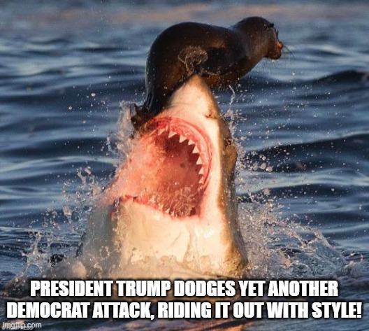 Travelonshark | PRESIDENT TRUMP DODGES YET ANOTHER DEMOCRAT ATTACK, RIDING IT OUT WITH STYLE! | image tagged in memes,travelonshark | made w/ Imgflip meme maker