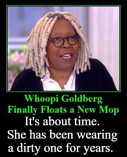 Whoopi Goldberg Finally Floats a New Mop | It's about time. She has been wearing a dirty one for years. | image tagged in whoopi goldberg,whoops,hairstyle,bad haircut,funny haircut,bruh haircut | made w/ Imgflip meme maker