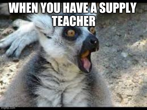 Suprise | WHEN YOU HAVE A SUPPLY 
TEACHER | image tagged in chill out lemur | made w/ Imgflip meme maker