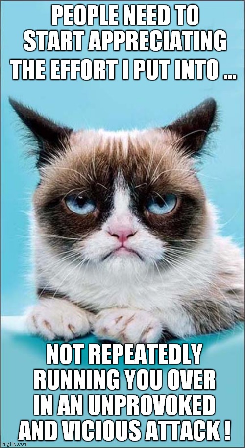 Grumpy Restraint | PEOPLE NEED TO START APPRECIATING; THE EFFORT I PUT INTO ... NOT REPEATEDLY RUNNING YOU OVER IN AN UNPROVOKED AND VICIOUS ATTACK ! | image tagged in fun,grumpy cat,attack | made w/ Imgflip meme maker