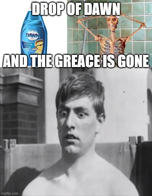Drop of Dawn | DROP OF DAWN; AND THE GREACE IS GONE | image tagged in funny,dawn soap meme | made w/ Imgflip meme maker