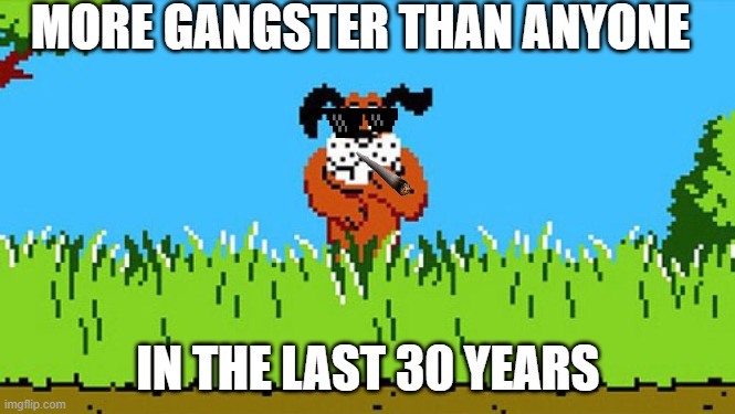 Dog from Duck Hunt | MORE GANGSTER THAN ANYONE; IN THE LAST 30 YEARS | image tagged in dog from duck hunt | made w/ Imgflip meme maker