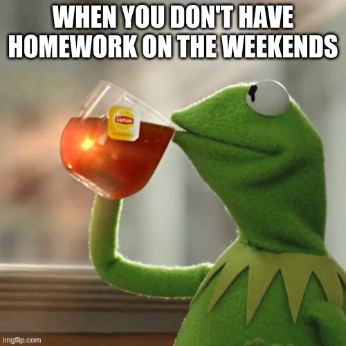 But That's None Of My Business | WHEN YOU DON'T HAVE HOMEWORK ON THE WEEKENDS | image tagged in memes,but thats none of my business,kermit the frog | made w/ Imgflip meme maker