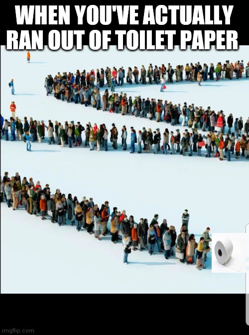 Lining up for toilet paper | WHEN YOU'VE ACTUALLY RAN OUT OF TOILET PAPER | image tagged in toilet paper,coronavirus,no more toilet paper,memes | made w/ Imgflip meme maker