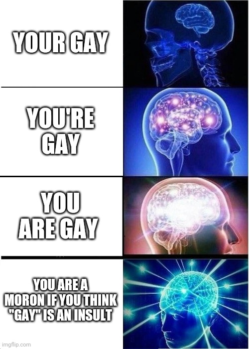 Expanding Brain Meme |  YOUR GAY; YOU'RE GAY; YOU ARE GAY; YOU ARE A MORON IF YOU THINK "GAY" IS AN INSULT | image tagged in memes,expanding brain | made w/ Imgflip meme maker