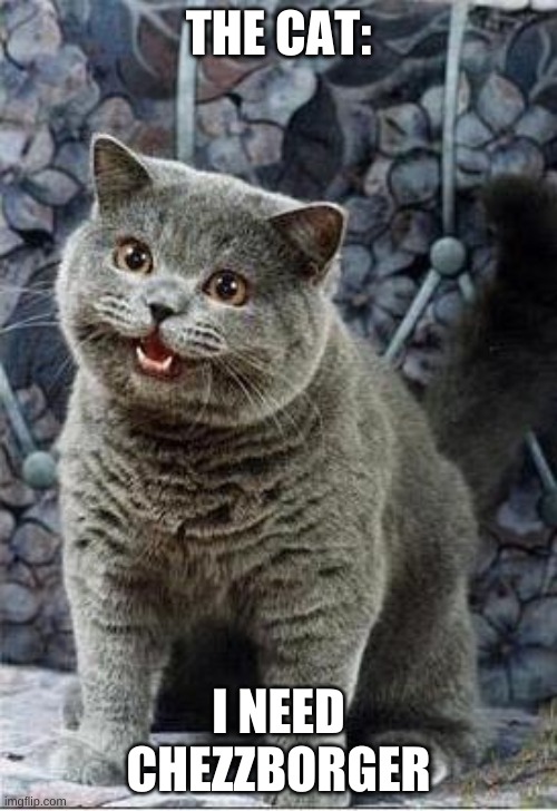 I can has cheezburger cat | THE CAT:; I NEED CHEZZBORGER | image tagged in i can has cheezburger cat | made w/ Imgflip meme maker
