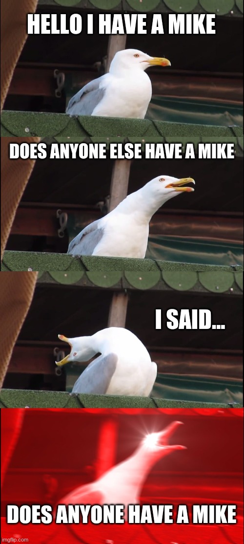 Inhaling Seagull | HELLO I HAVE A MIKE; DOES ANYONE ELSE HAVE A MIKE; I SAID... DOES ANYONE HAVE A MIKE | image tagged in memes,inhaling seagull | made w/ Imgflip meme maker