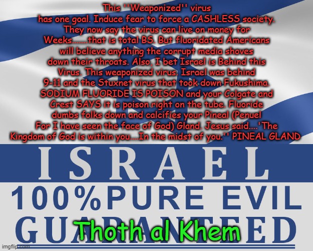 Thoth al Khem | This ''Weaponized'' virus has one goal. Induce fear to force a CASHLESS society. They now say the virus can live on money for Weeks.......that is total BS. But fluoridated Americans will believe anything the corrupt media shoves down their throats. Also, I bet Israel is Behind this Virus. This weaponized virus. Israel was behind 9-11 and the Stuxnet virus that took down Fukushima. SODIUM FLUORIDE IS POISON and your Colgate and Crest SAYS it is poison right on the tube. Fluoride dumbs folks down and calcifies your Pineal (Penuel For I have seen the face of God) Gland. Jesus said....'The Kingdom of God is within you....In the midst of you.'' PINEAL GLAND; Thoth al Khem | image tagged in thoth al khem | made w/ Imgflip meme maker