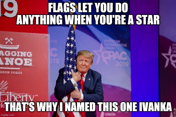 Trump Flag | FLAGS LET YOU DO ANYTHING WHEN YOU'RE A STAR; THAT'S WHY I NAMED THIS ONE IVANKA | image tagged in trump flag | made w/ Imgflip meme maker