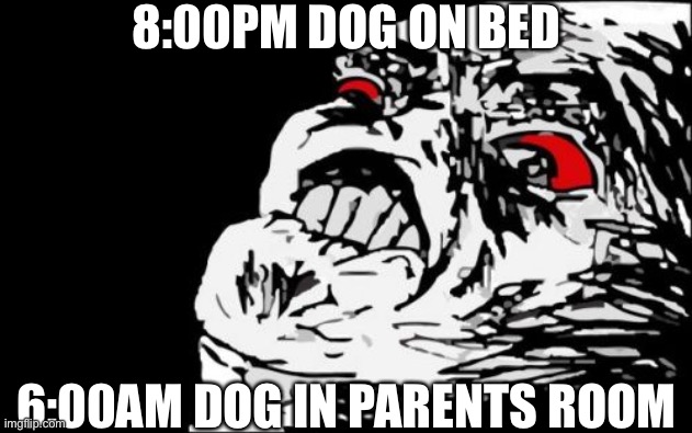 Mega Rage Face | 8:00PM DOG ON BED; 6:00AM DOG IN PARENTS ROOM | image tagged in memes,mega rage face | made w/ Imgflip meme maker