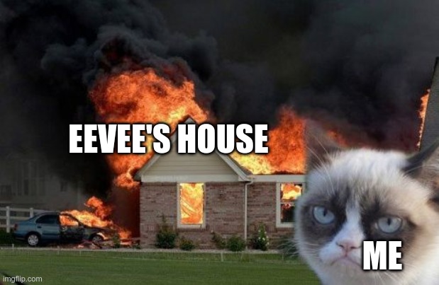 Burn Kitty Meme | EEVEE'S HOUSE ME | image tagged in memes,burn kitty,grumpy cat | made w/ Imgflip meme maker