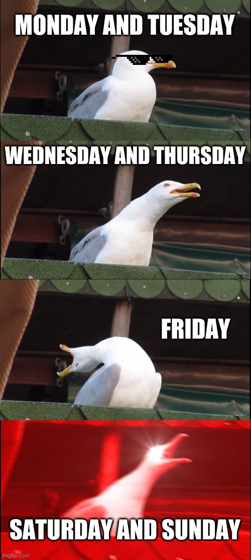 Inhaling Seagull | MONDAY AND TUESDAY; WEDNESDAY AND THURSDAY; FRIDAY; SATURDAY AND SUNDAY | image tagged in memes,inhaling seagull | made w/ Imgflip meme maker