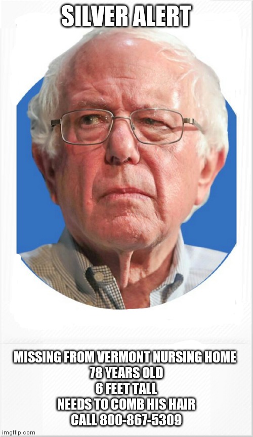 Have you seen my comb? | SILVER ALERT; MISSING FROM VERMONT NURSING HOME 
78 YEARS OLD
6 FEET TALL
NEEDS TO COMB HIS HAIR
CALL 800-867-5309 | image tagged in bernie sanders | made w/ Imgflip meme maker